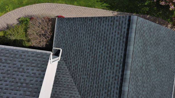 Best Roof Moss and Algae Removal  in Norridge, IL